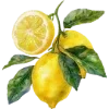 🍋
