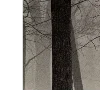 🌫️