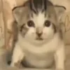 😐