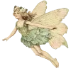 🧚‍♀️