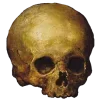 💀