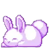🐇