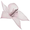🌸