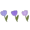 🌷