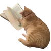 📖