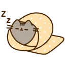 😴