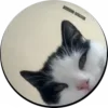 😸