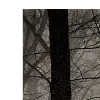 🌫️