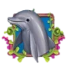 🐬