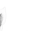 ⭐
