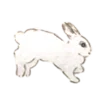 🪷