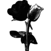 🖤