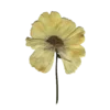 🌸