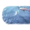 🦈