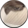 😸
