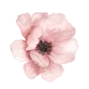 🌸