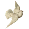 🕊️