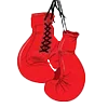 🥊