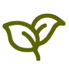🌱