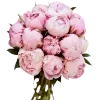💐