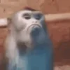 ☹️