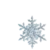 ❄️