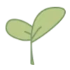 🌱