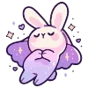 🐰