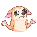 🐶