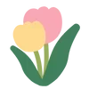 ✨