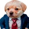 😎