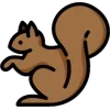🐿
