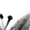 ⭐