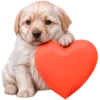 🥰