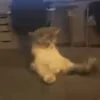 😳