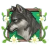 🐺