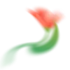 🌷