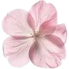 🌸