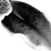 ⭐