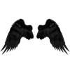 🖤