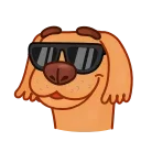 🐶