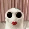 😻