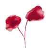🥀