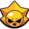 🌟