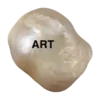 🐚