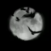 🦇