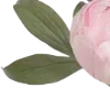 🌸