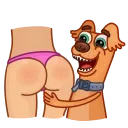 🐶
