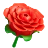 🌹
