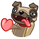 🐶